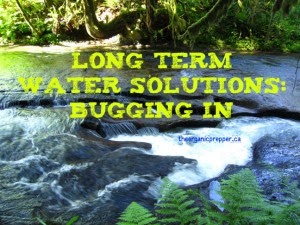 Long-Term Water Solutions: Bugging In