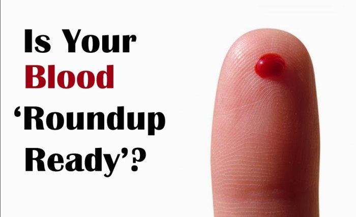 Human Blood is Not “Roundup Ready,” New Study Reluctantly Admits