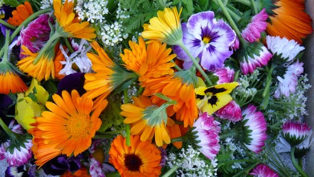 The Power of Edible Flowers to Inhibit Chronic Diseases