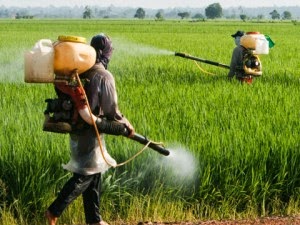 Sri Lanka Bans Monsanto Herbicide Citing Deadly Link To Kidney Disease