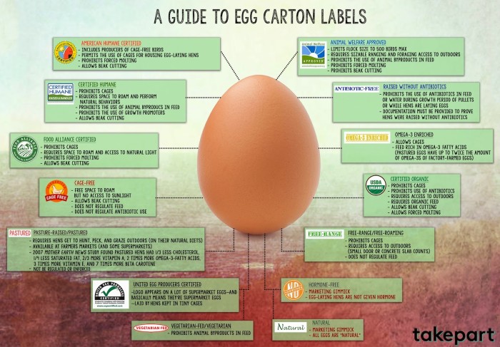 How Much Do Labels Really Tell You About How Eggs Are Produced?