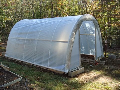 How To Build A $50 Greenhouse In Your Yard – Free Plans