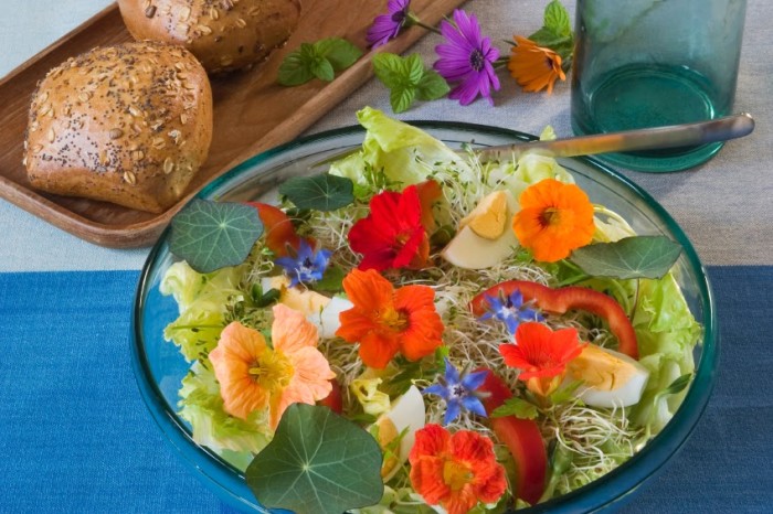 42 Healthy Varieties of Edible Flowers to Add to Your Garden