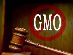 Eat Your Heart Out, USA—Russia Rejects GMOs!