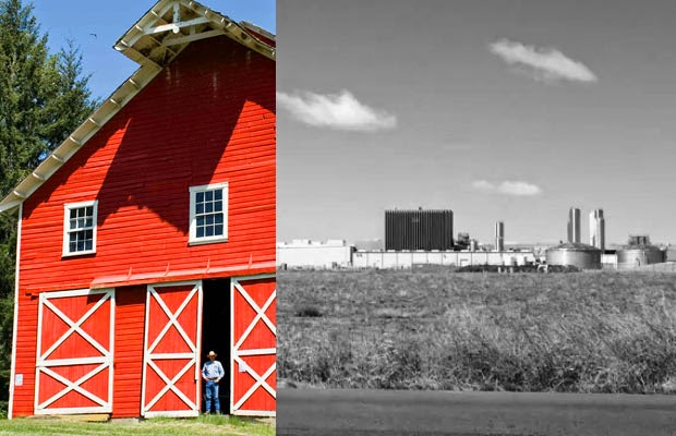 Hey Look! It’s That Little American “Farm” Where Your Cheese Comes From