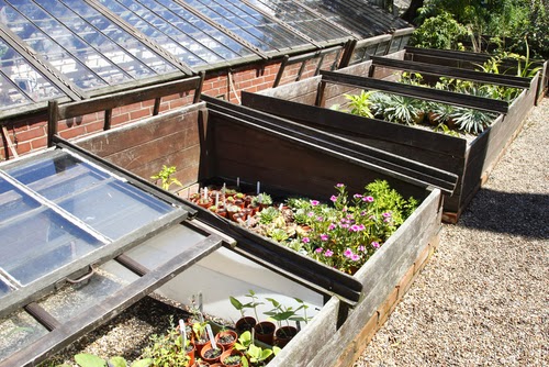 Get a Head Start on Gardening with Cold Frames