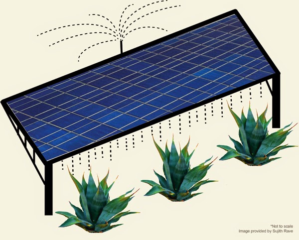 Stanford Scientists Develop New Model for Solar Farms