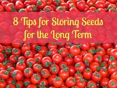 8 Tips for Longterm Seed Storage