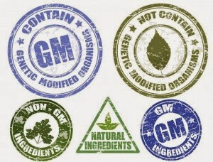 Vermont Governor to Pass First State GMO Labeling Bill?