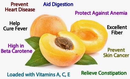 Apricots Can Protect Your Eyesight Better Than Carrots