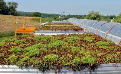 Virginia Tech architect: ‘green roofs’ need not go to great depths to work