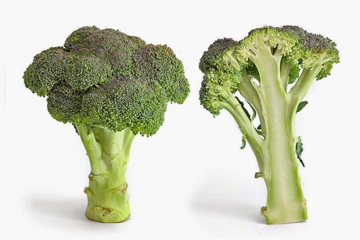Broccoli Sprout Beverage Enhances Detoxification of Air Pollutants