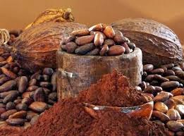 Cocoa extract may counter Alzheimer’s disease