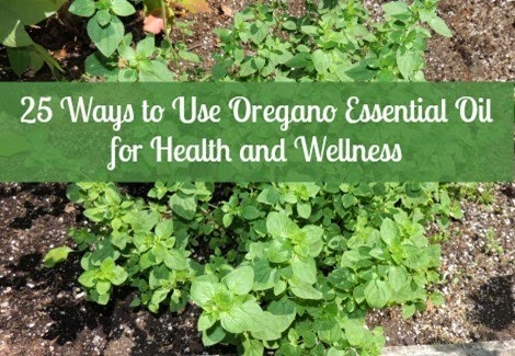 25 Ways to Use Oregano Essential Oil for Health and Wellness