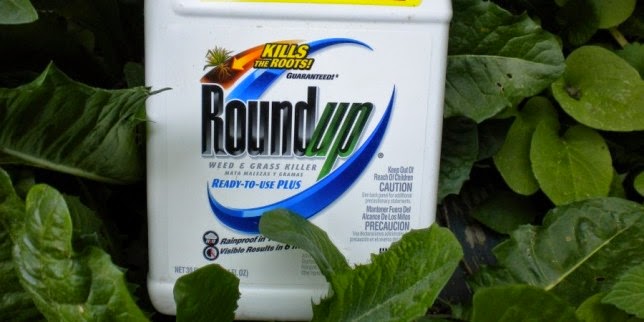 Dangers of Roundup Brought to Public at Historic EU Gov’t Meeting