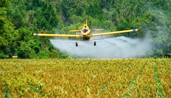 Pesticide DDT linked to slow metabolism, obesity and diabetes