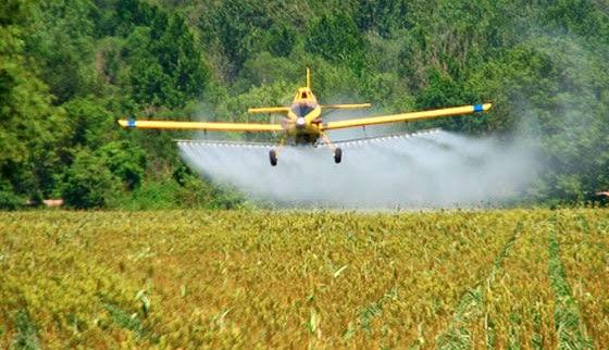 Alleged Glyphosate Poisoning Leaves 2 Children Dead in Paraguay