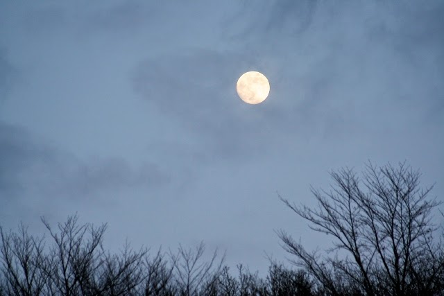 Do Full Moons Affect Your Sleep?