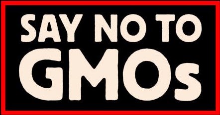 New GMO Soy Launched by BAYER