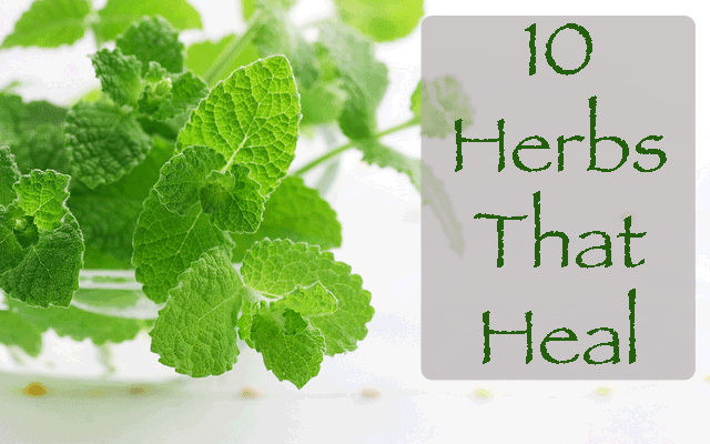 10 Herbal Remedies For The Most Common Complaints