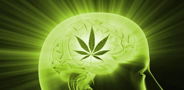 Cannabis May Cure Addiction To Hard Drugs: Study