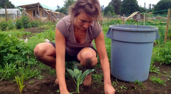 6 Life Lessons I Discovered While Plucking Weeds In The Garden