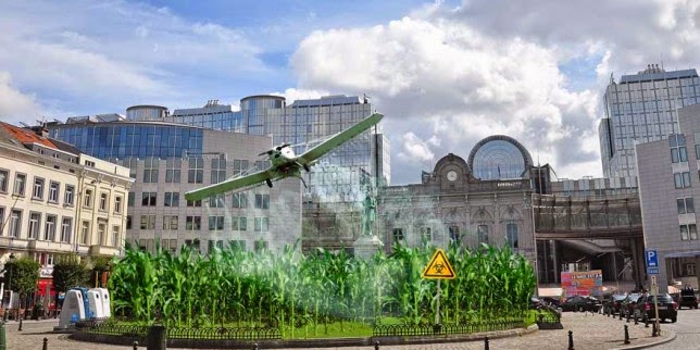 Monsanto and Pioneer Continue to Pull GM Crops from EU