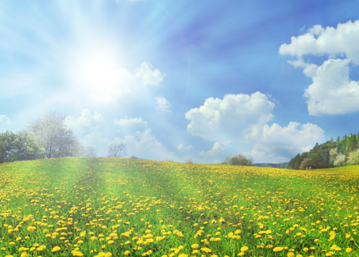 Sunshine: Vitamin D Dramatically Improves Bowel Cancer Survival Odds