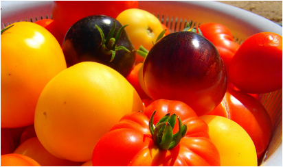 10 Amazing Health Benefits of Tomatoes