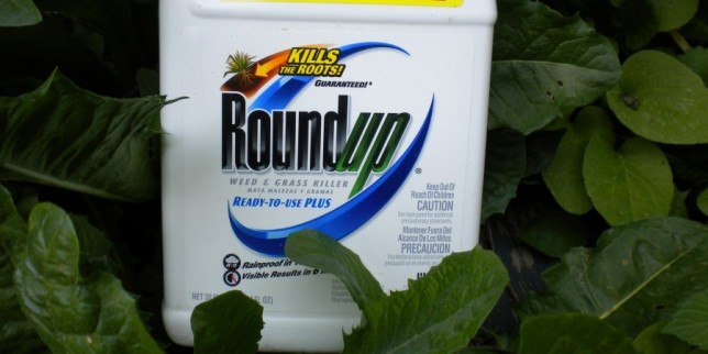 Glyphosate Market Continues to Boom Despite Health Concerns