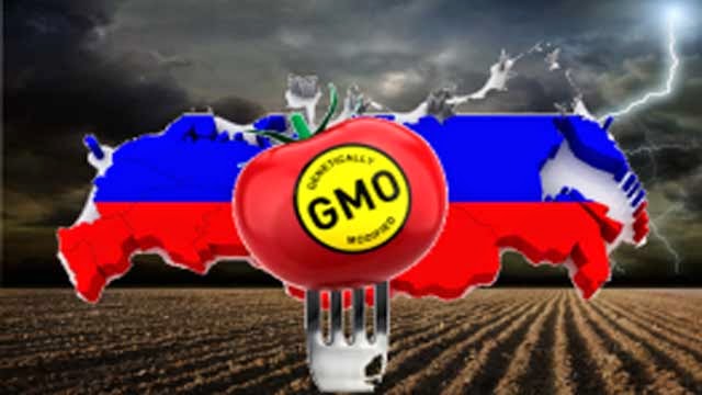 Russia Moves to Toughen GMO Food Sanctions, Introduces Fines for Vague Labeling