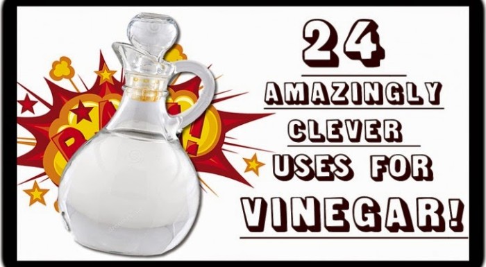 24 Amazingly Clever Uses For Vinegar