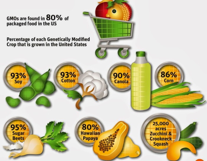 Are you consuming the 9 most genetically modified foods?
