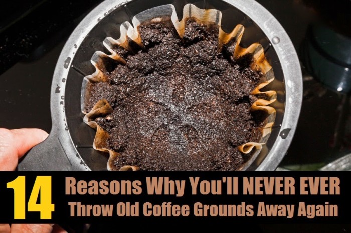 14 Genius Ways To Recycle Used Coffee Grounds