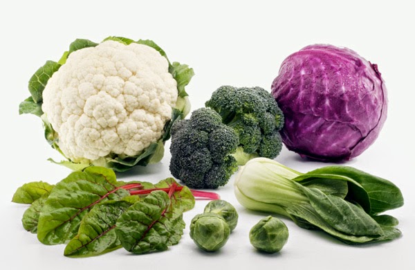 Chemical present in broccoli, other vegetables may improve autism symptoms