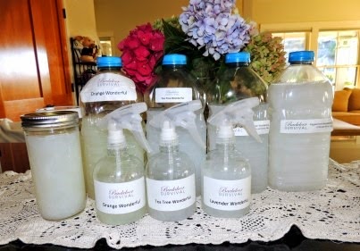 DIY Liquid Castile Soap “Wonderful”