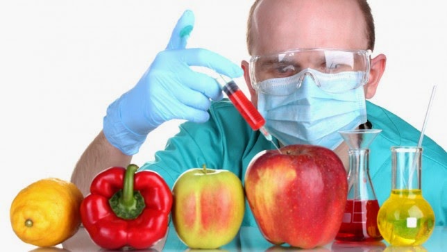 World’s Largest Ever GMO Safety Study Set for London Launch