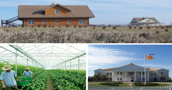 Welcome to America’s Only Completely “Organic City”