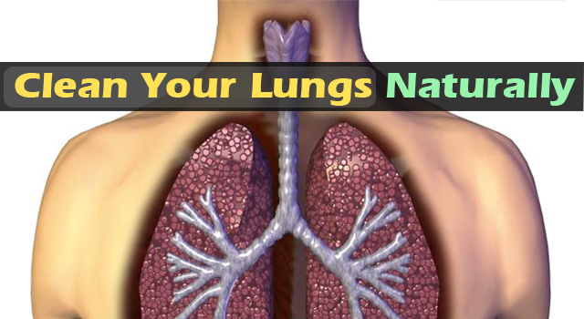 Natural Way To Clear Your Lungs Of Tar and Tobacco Byproducts