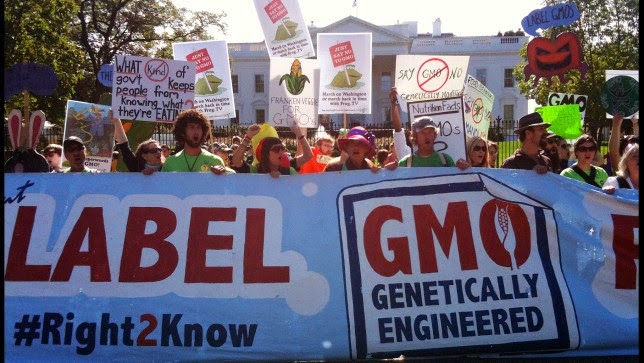 GMO Labeling Will Cost Less than a Penny a Day for U.S. Consumers
