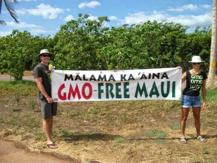 Election Bang: Maui bans GMO crops