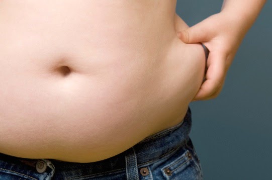 Gut Bacteria is Key Factor in Childhood Obesity