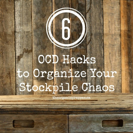 Doomsday Hoarders: 6 OCD Hacks to Organize Your Stockpile Chaos