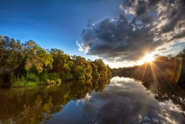 Visiting a park could save your life, scientists say