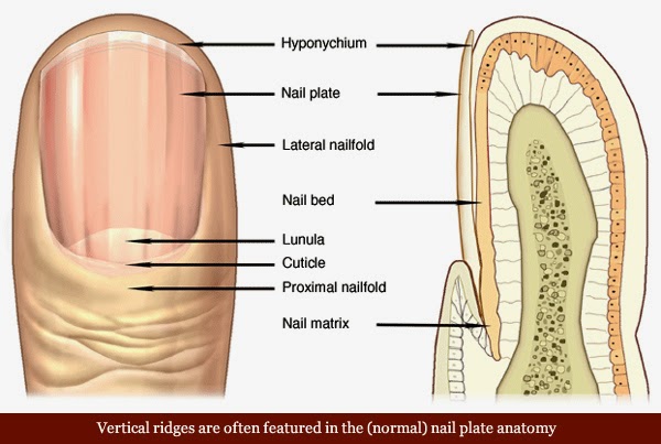 8 Health WARNINGS Your Fingernails May Be Sending