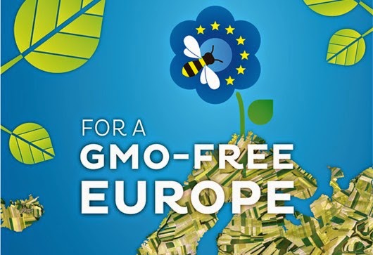 EU Parliament Votes ‘Yes’ on GMO Opt-Out for Member States