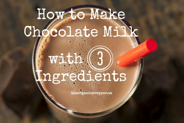 Breaking News: Chocolate Milk Only Requires 3 Ingredients!!!!