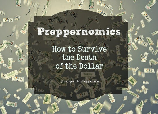 Preppernomics: How to Survive While the Dollar Dies