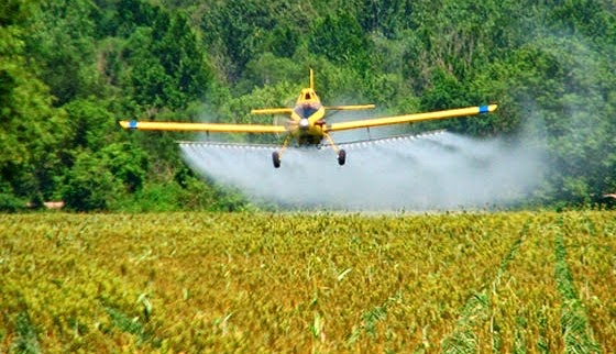 Common pesticide may increase risk of ADHD