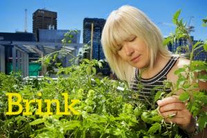 New Study Reveals the Many Benefits of Urban Rooftop Gardens